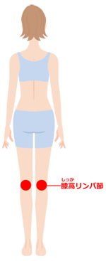 膝窩(しっか)リンパ節の箇所を示したイラスト